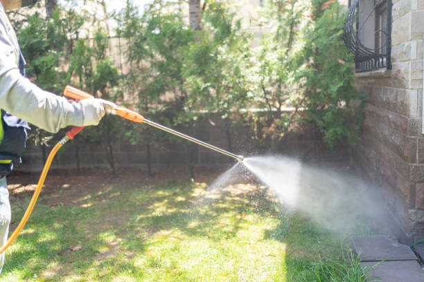 Best Bee and Wasp Removal  in Upland, IN